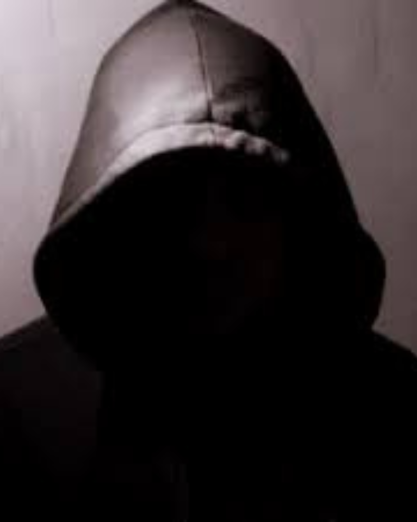L&rsquo;ascension sans visage : les stratégies secrètes derrière le million de Fortumedia à seulement 21 ans